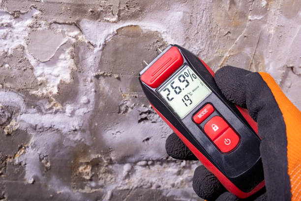 Best Mold Testing  in North Seekonk, MA