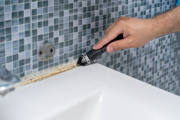 Best Residential Mold Removal  in North Seekonk, MA